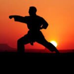 Academia de Karate y Artes Marciales: Formación Integral Basada en la Cultura Japonesa para Niños, Adolescentes y Jóvenes