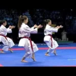 Academia de Karate y Artes Marciales: Formación Integral de Niños, Adolescentes y Jóvenes